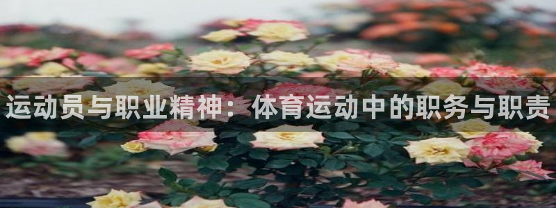海南JJB竞技宝官网下载：运动员与职业精神：体育运动