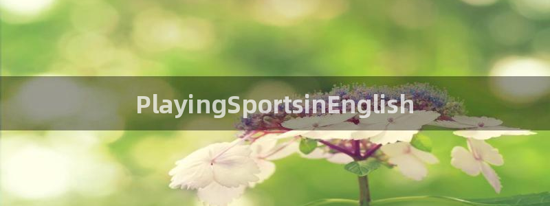 JJB竞技宝官网下载官方客服电话：PlayingSp