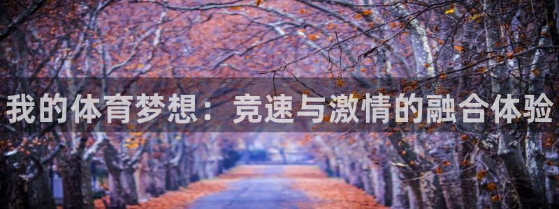 JJB竞技宝官网下载招商电话号码是多少号：我的体育梦