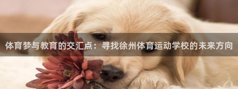 JJB竞技宝官网下载招商电话是多少：体育梦与教育的交汇点：寻