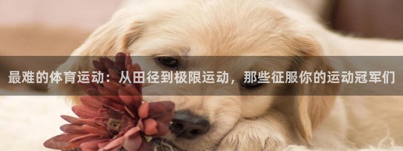 JJB竞技宝官网下载联系电话：最难的体育运动：从田径到极限运