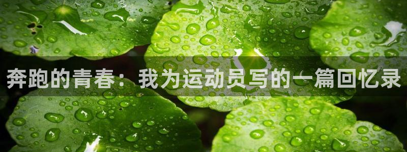 JJB竞技宝官方正版app神州：奔跑的青春：我为运动