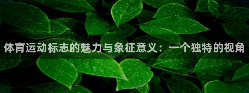 JJB竞技宝官网下载平台注册流程图：体育运动标志的魅