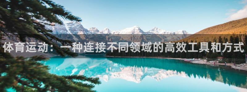 JJB竞技宝官方正版app娱乐网站：体育运动：一种连