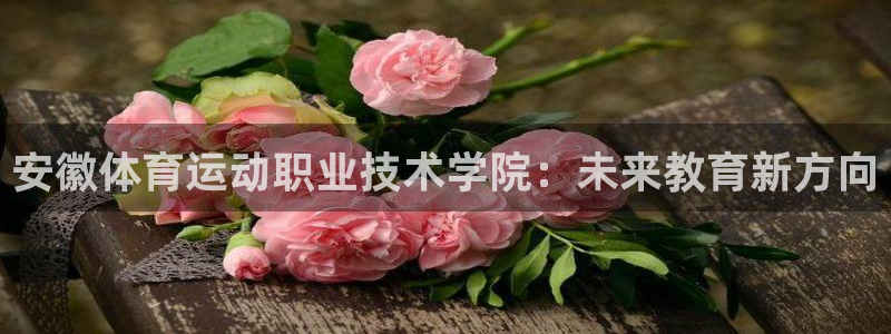 JJB竞技宝官方正版app娱乐代理怎么样：安徽体育运动职业技
