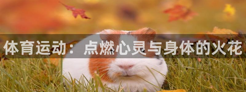 JJB竞技宝官网下载平台是正规平台吗知乎：体育运动：