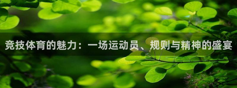 JJB竞技宝官网下载平台注册要钱吗安全吗：竞技体育的