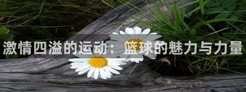 JJB竞技宝官方正版app集团logo：激情四溢的运动：篮球