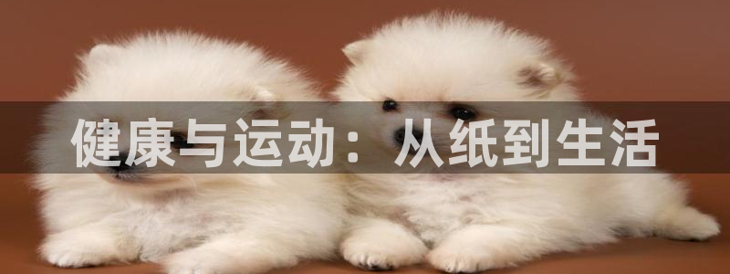 JJB竞技宝官方正版app官方：健康与运动：从纸到生活