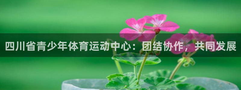 JJB竞技宝官方正版app娱乐首页官网下载：四川省青少年体育