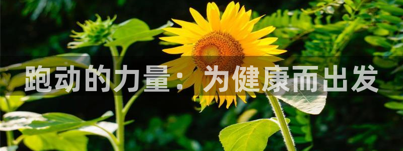 JJB竞技宝官网下载娱乐