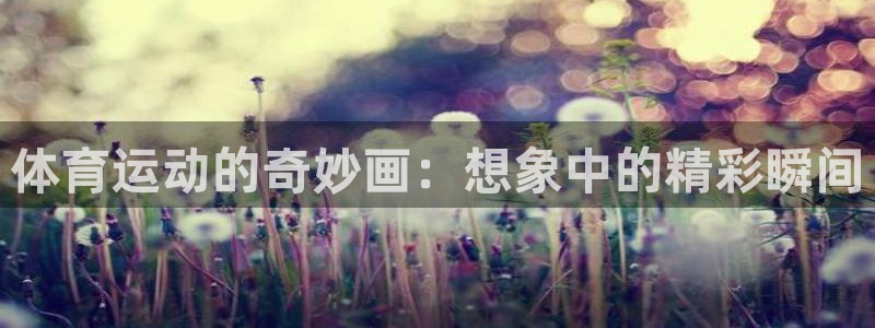 JJB竞技宝官方正版app娱乐代理怎么样：体育运动的