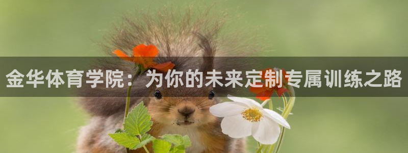 JJB竞技宝官方正版app娱乐下载