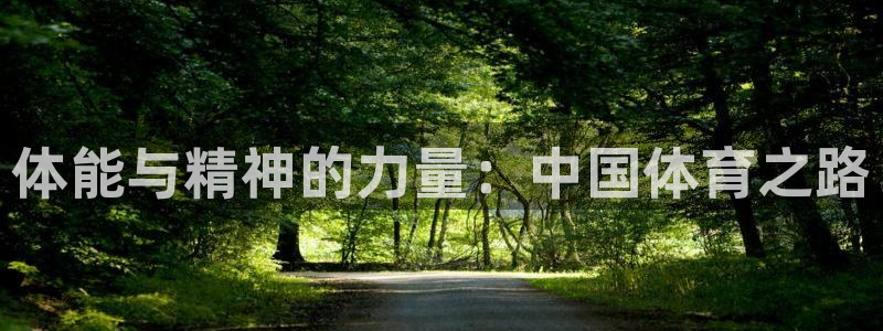 JJB竞技宝官方正版app娱乐是那个系列的台子：体能与精神的